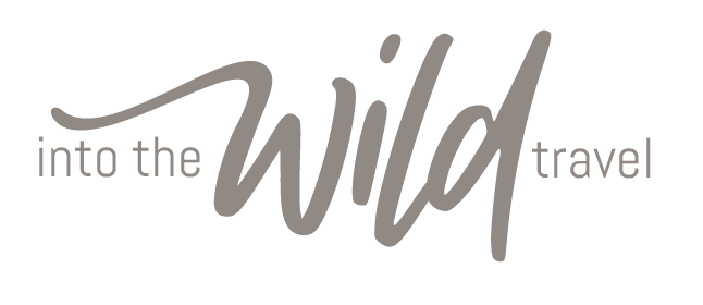 Into The Wild Travel